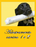 Curso de Adestramento Canino 1 e 2